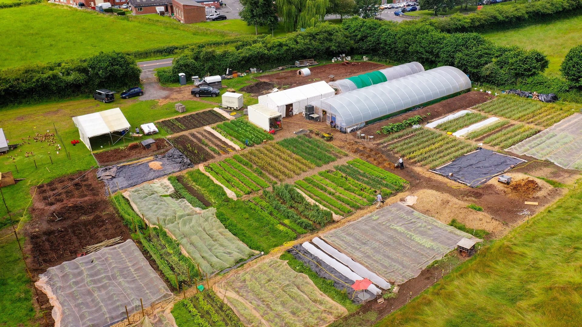 Langtons Farm: Your local farmers.
