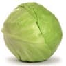 Cabbage