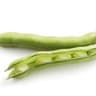 Bean: Broad