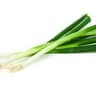 Onion: Green 