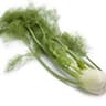 Fennel