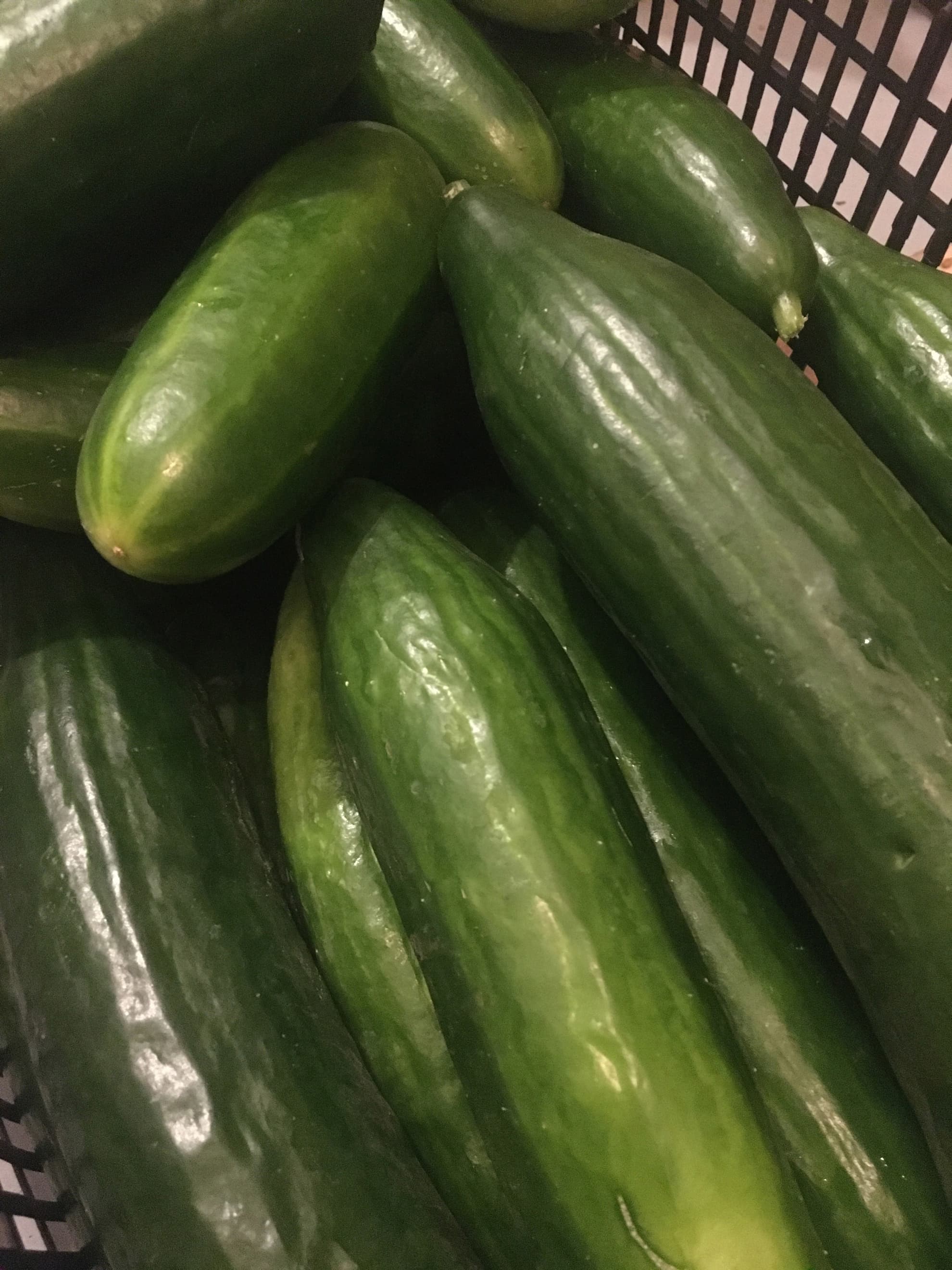 Cucumber