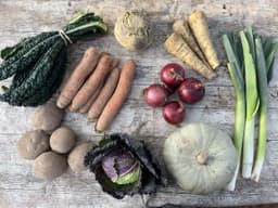 Image of Medium Organic Veg Box