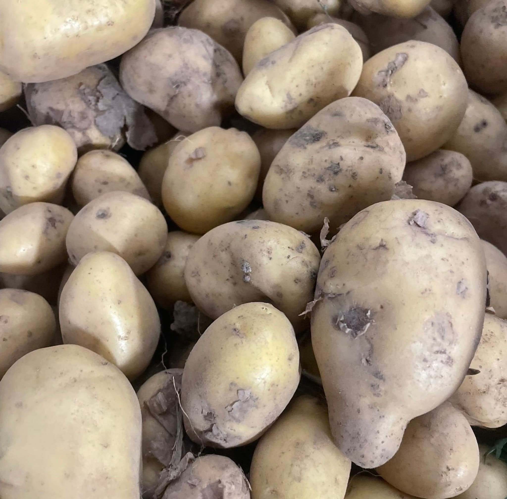 New Potatoes