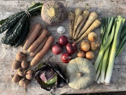 Image of Large Organic Veg Box - No Potatoes
