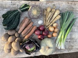 Image of Large Organic Veg Box