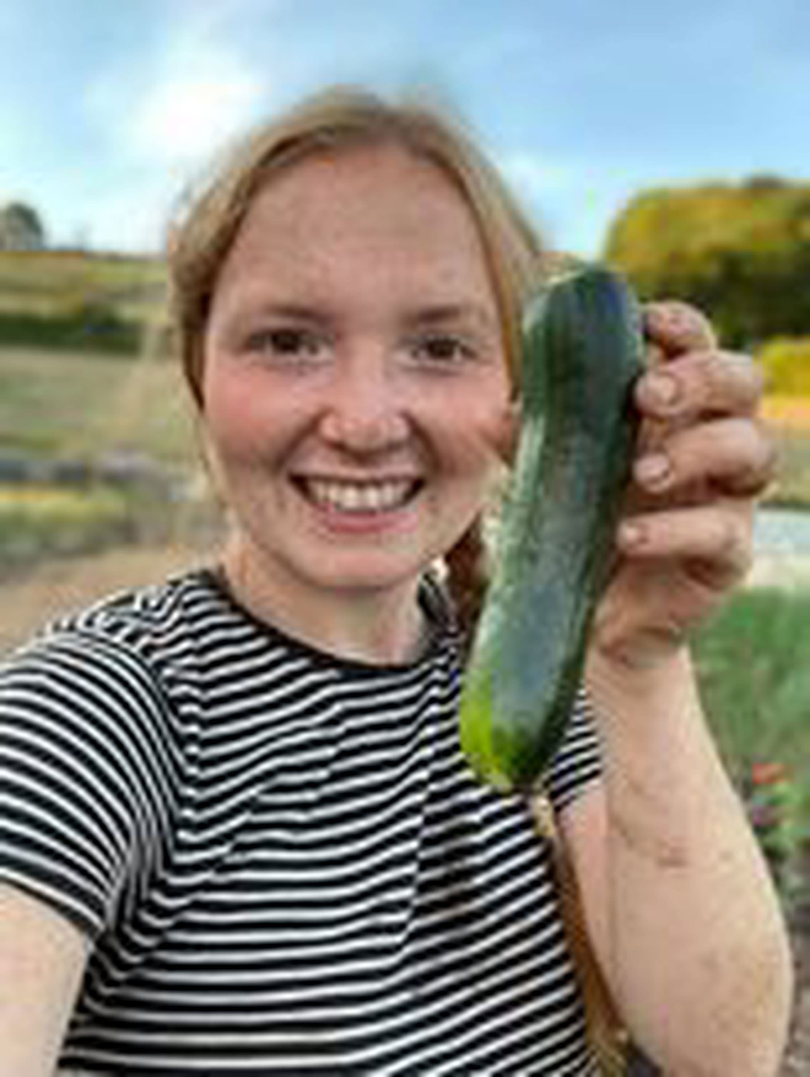 Courgette