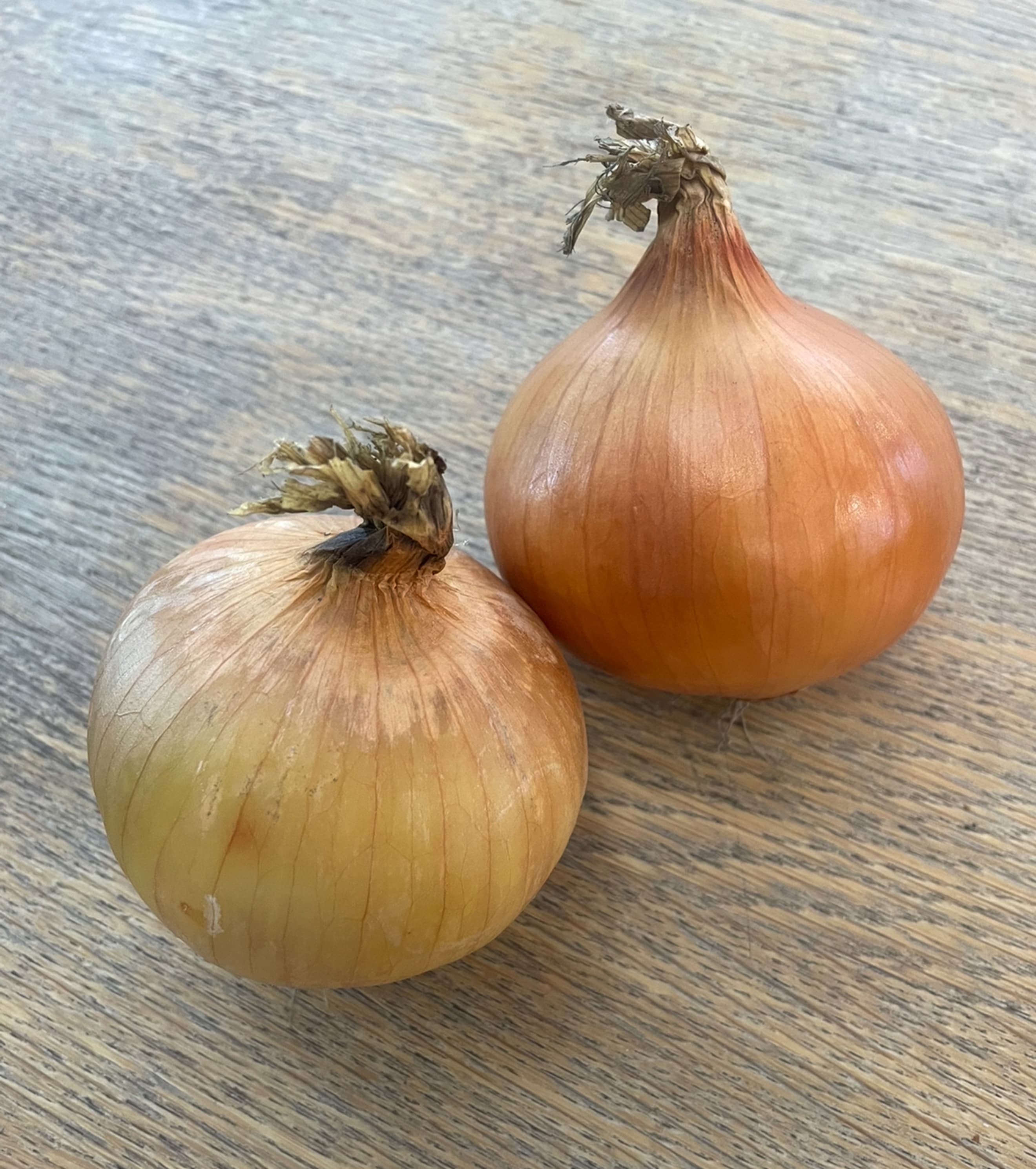 Yellow Onions