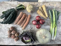 Image of Medium Organic Veg Box - No Potatoes