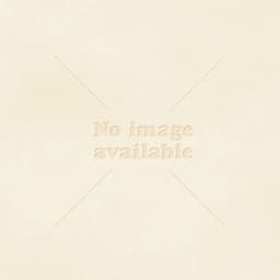 Image of Tomato Box Large 3kg