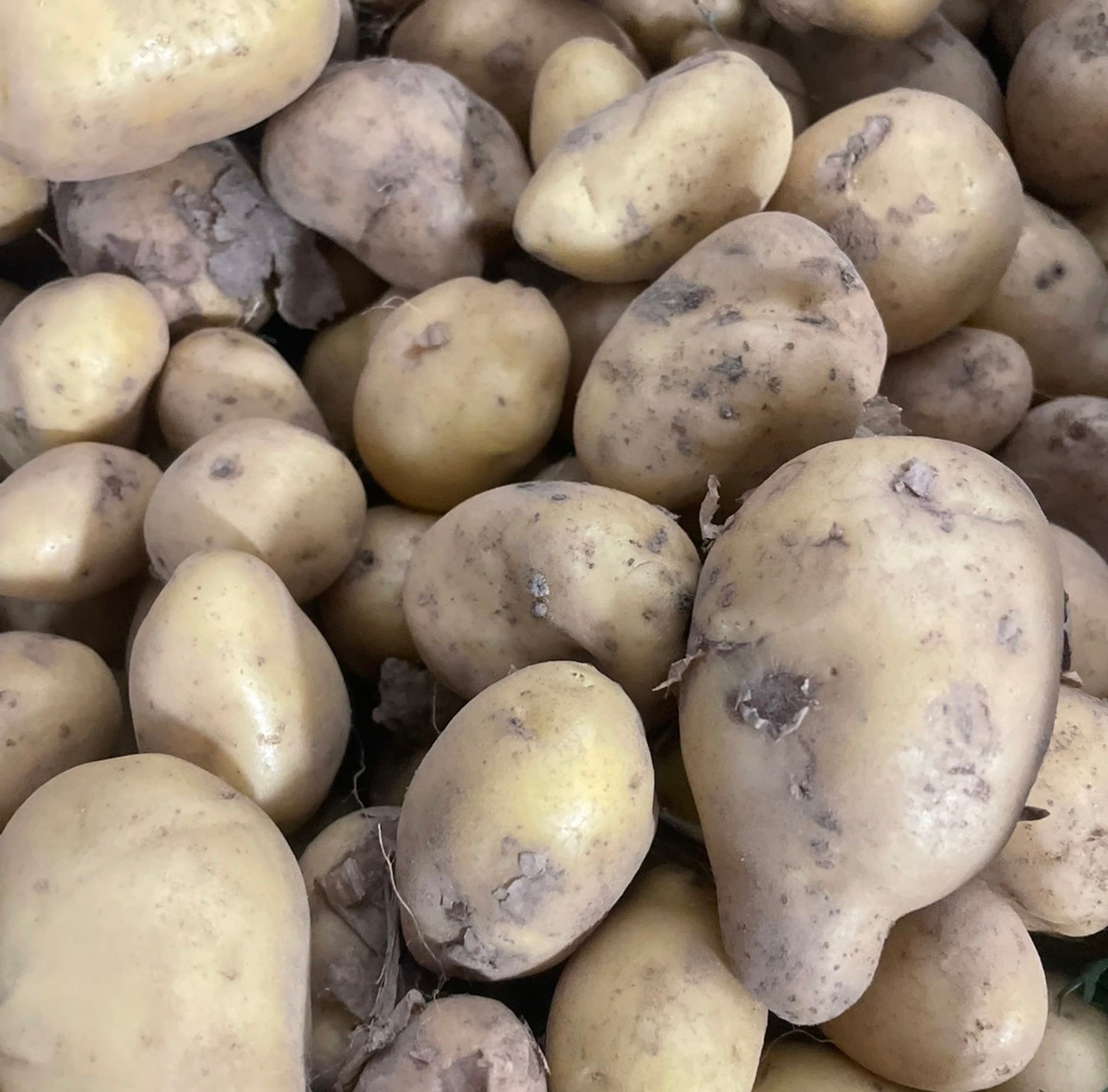 New Potatoes